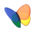 MSN